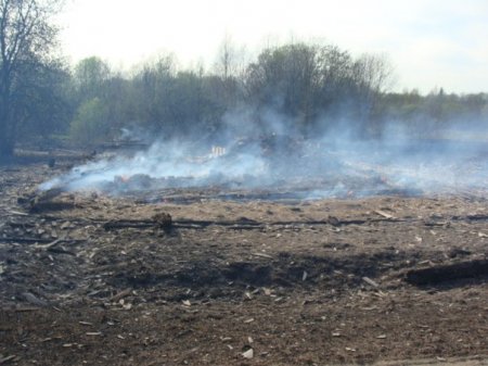 В Тотемском районе выгорело полдеревни.